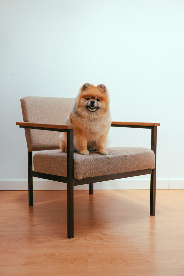Walnut Frame Armchair, Ira K.